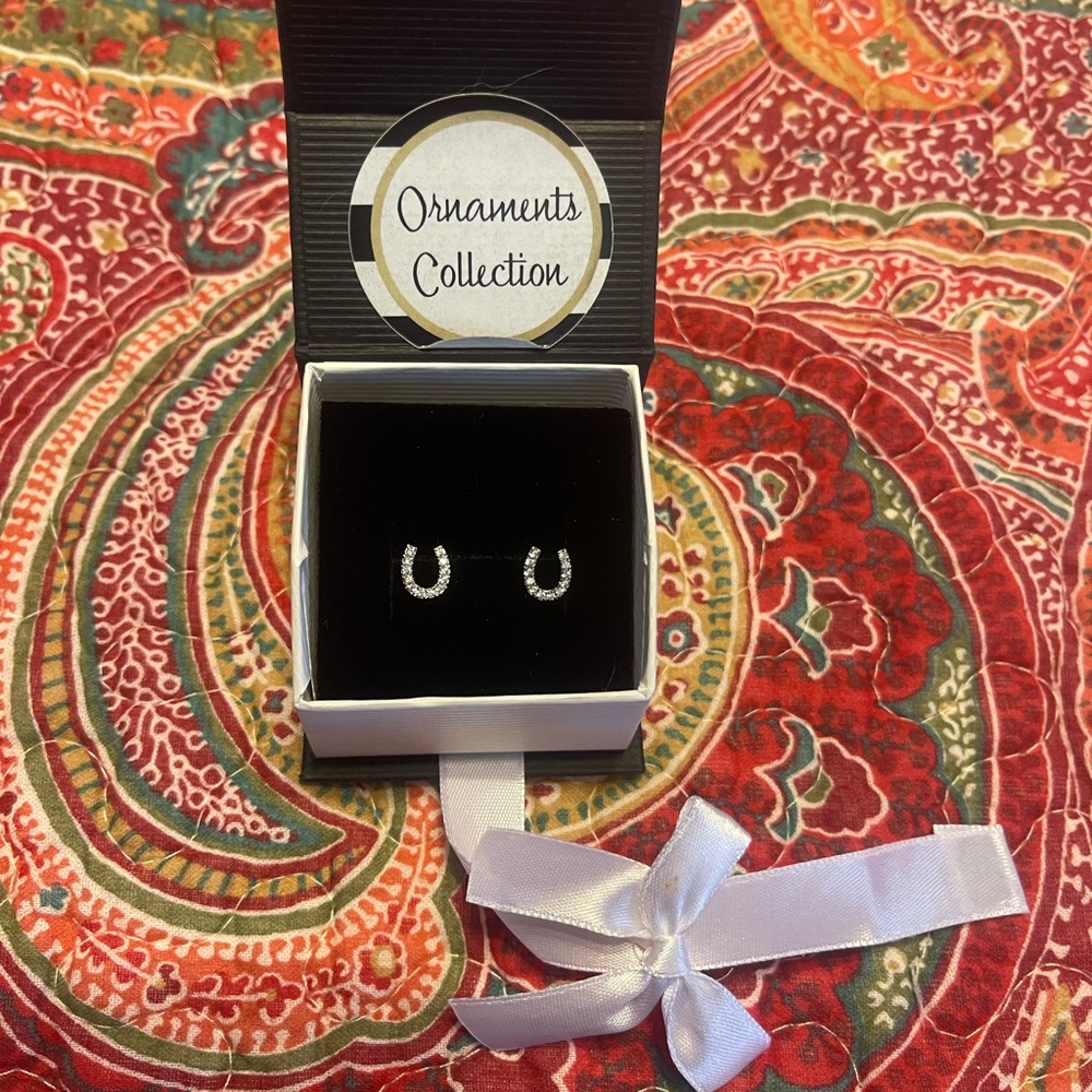 Horse shoe earrings to add some sparkle to anyone’s wardrobe!